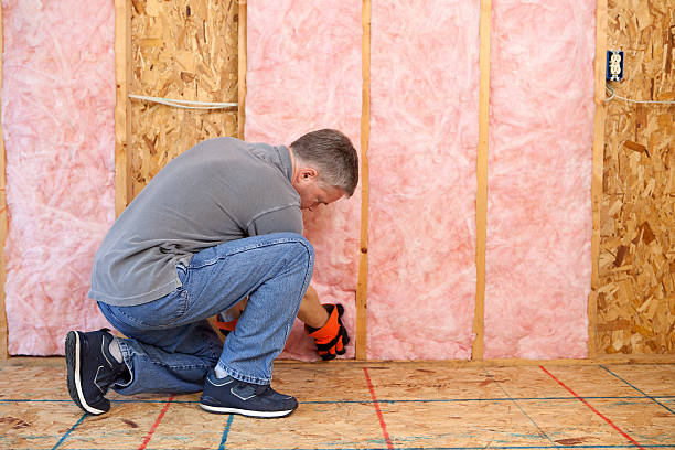 Best Eco-Friendly Insulation in Fredericksburg, PA