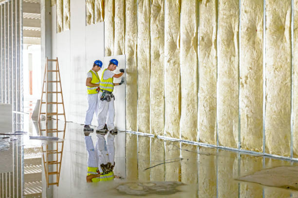 Best Insulation Maintenance and Repair in Fredericksburg, PA